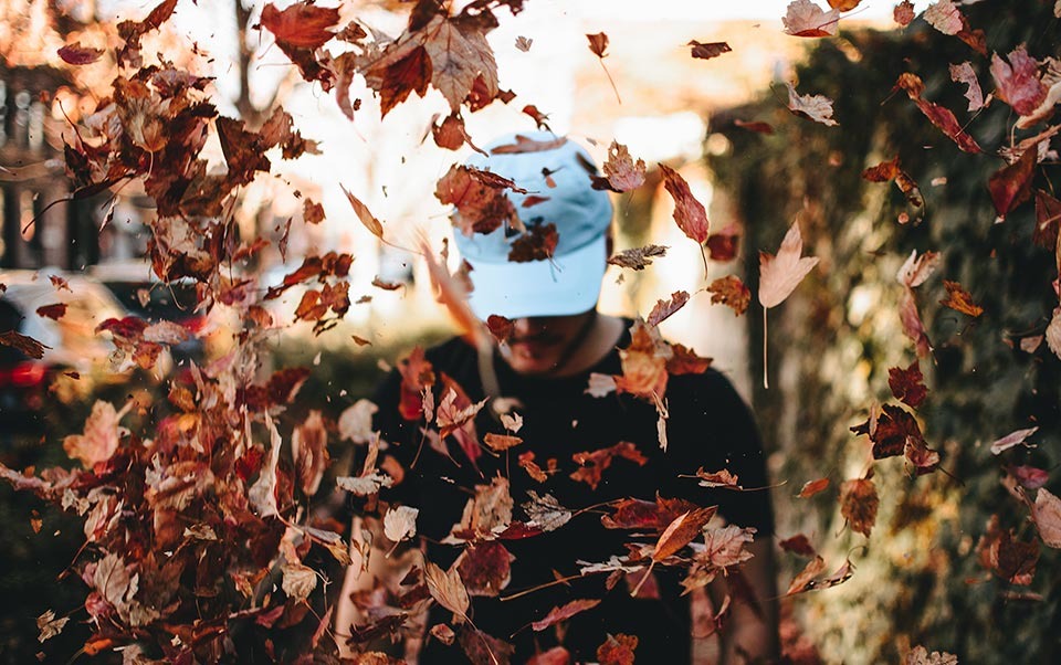 Herbstlaub pxhere com CCO